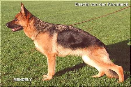 V Enschi von der Kirchheck