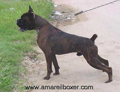 Patagonia Oeste Becho