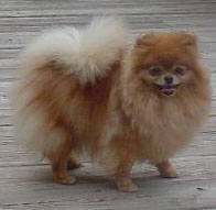 Sunrunner BB At Aphrodite