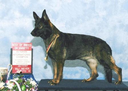 UCI INT CH V- Trine vom Schäferliesel