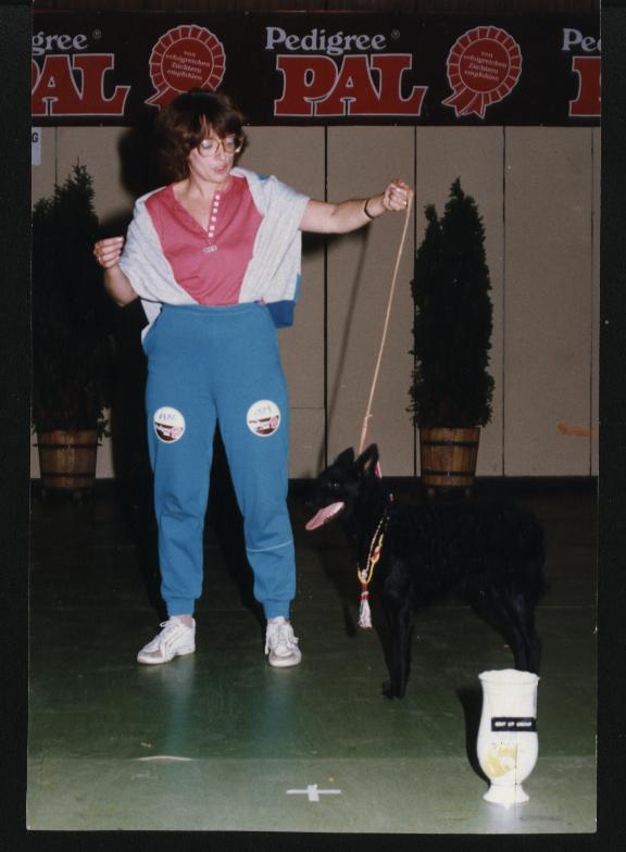 BK.HCH Nyírségfia Cinke