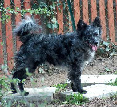 3XCAC R.CAC Sacaházi Bajnok