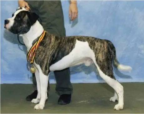 CH/V1 Ivy's Super Villain Lex Luther