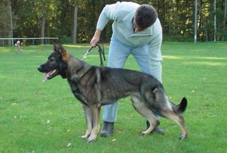 G Kamikaze vom Kirchberghof