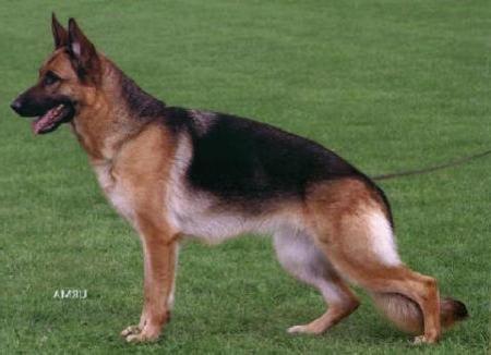 V Johsy vom Simmersberg