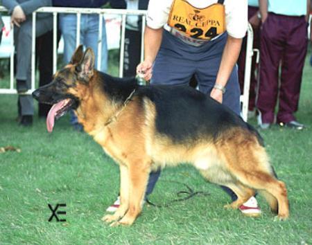 SG Rheno do Monticans