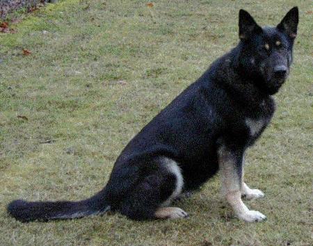 G Wera von der Schafbachmühle