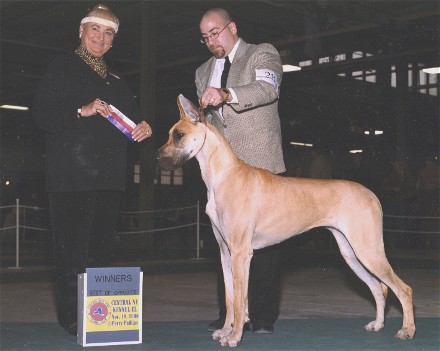 CH Maitau'S Never Say Never