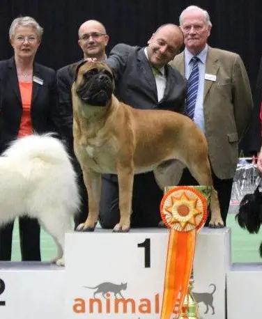 JWW'10 EW'13 BIS Game Keeper's Play My Game