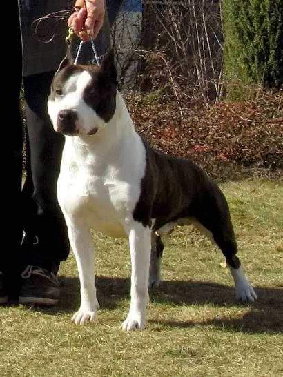 Jump In To My Car Highway Chile