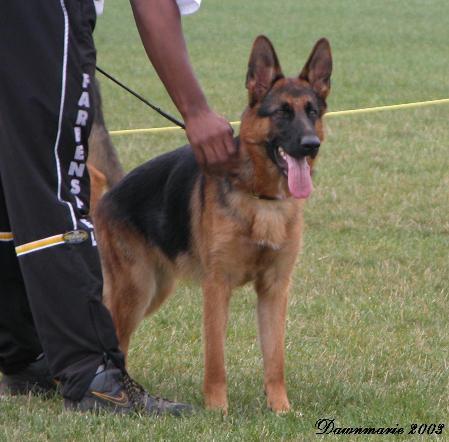 VP1 03 SG2 04 CANADA Georgia von den Blauen Bergen