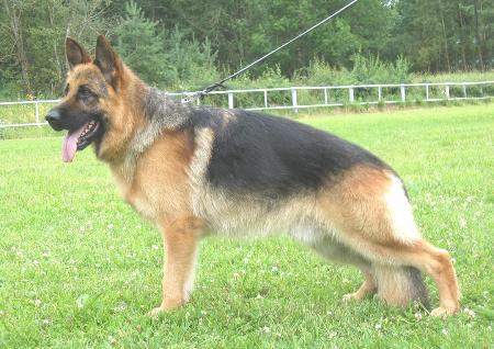 V, KKL 1 Margman Rudolf