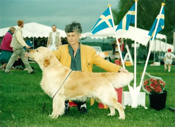 NORW CH Stenbury Sea Chieftain