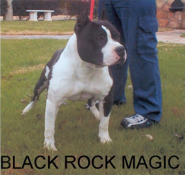 Versailles-Black-Rock-Magic