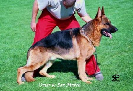 V Omar von San Marco