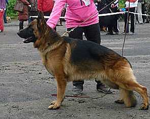 Sanglen Olbritt Feuer Herz