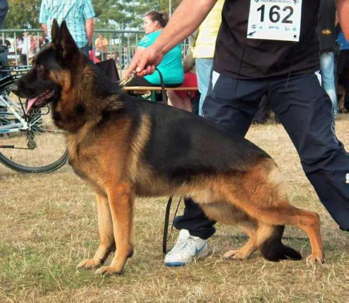 SG 1 PL Abaris Mar-Jul