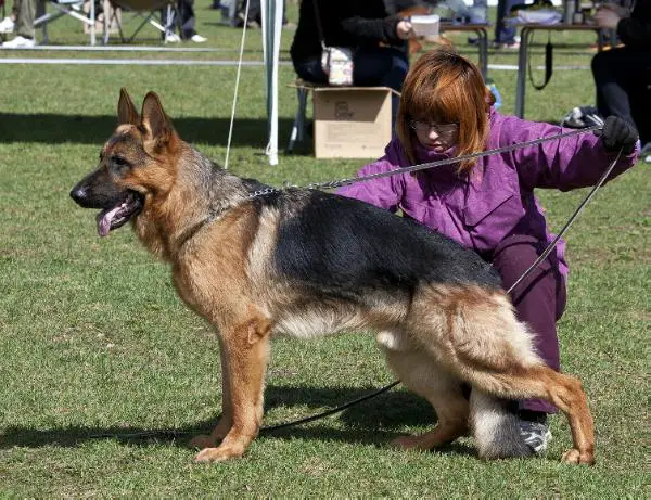 Paik iz Doma Infanty