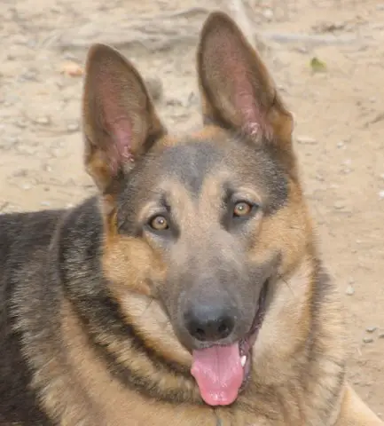 Brooke Von Lassetter