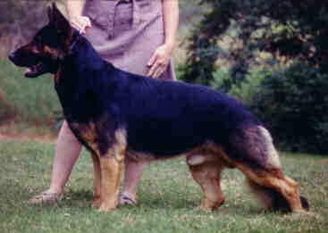 Bodo vom Athonhof