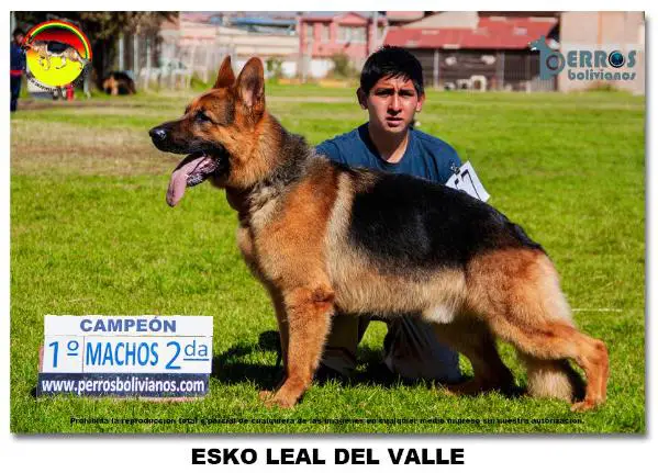 Esko Leal del Valle