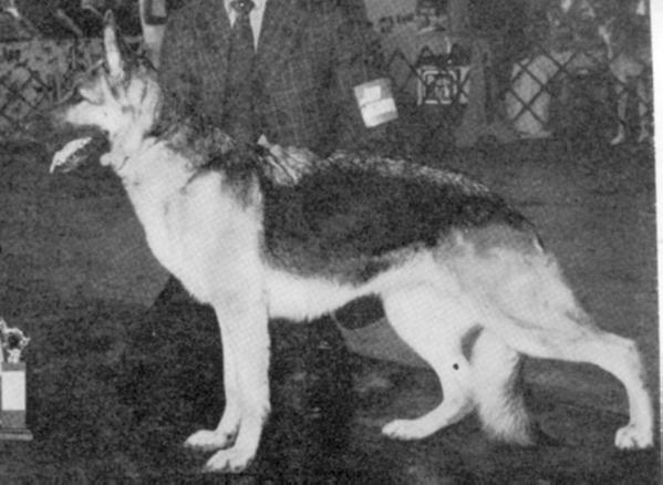 GVX CH (CAN) Fara von der Erikaklause