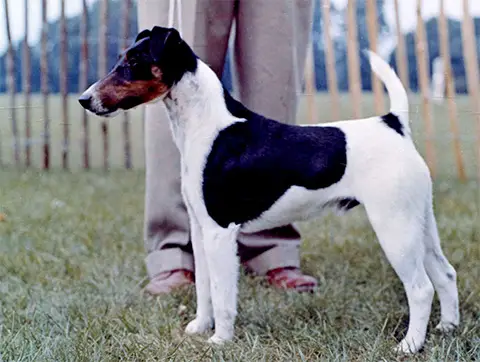 ENG CH Watteau Madrigal