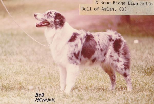 Sand Ridge Blue Satin Doll of Aslan