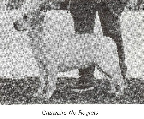 Cranspire No Regrets