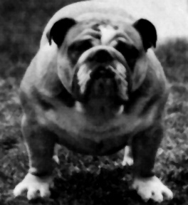 Eng Ch Aldridge Avanti