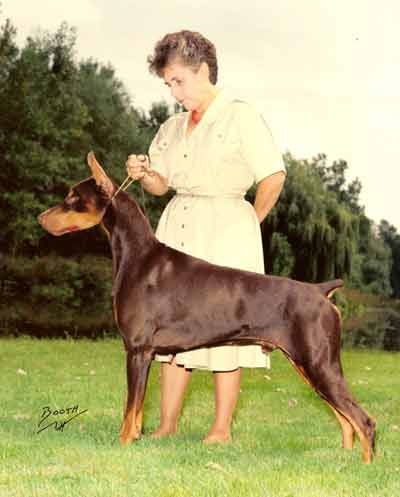 Am. Ch. Bel-mar Tattoo's Hell-r-hi Water