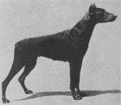 Nora Vd Ruppertsburg