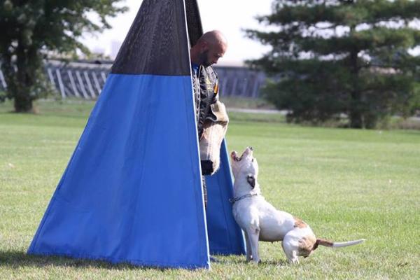 Moses' Party in Dega