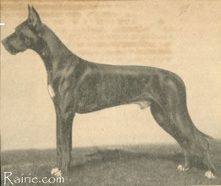 Dirk von der Förde