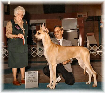 CH Rojon's Rhapsody Vsop