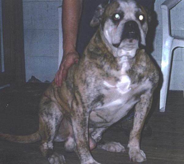 Mason's Buster Brown