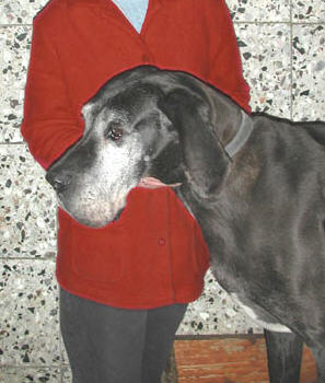 Raka Von Harlekin
