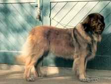 Kischny-Kimba Deern v. Leuchtturm