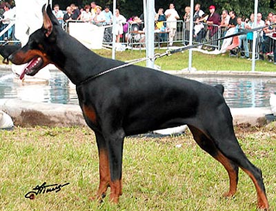 V Irinland Zena Zefyu