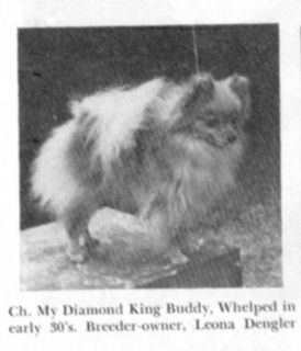 CH My Diamond King Of Buddy