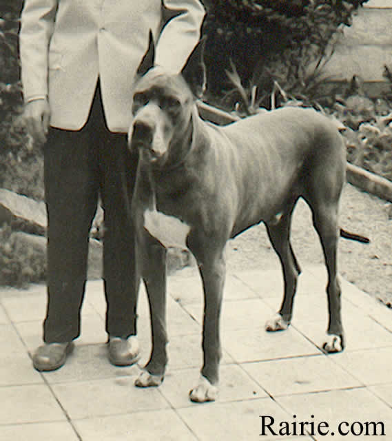 Othello von der Gärtenau