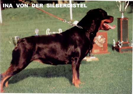 INT CH BS'89,KS'89 Ina Von Der Silberdistel