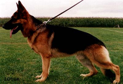 Vax von Bewie