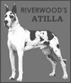 Riverwood's Atilla