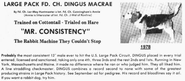 FC Dingus MacRae