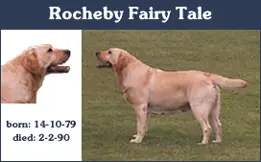 Rocheby Fairy Tale