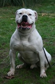 Wild River's Marcus I. Brutus PH-0.25/0.32