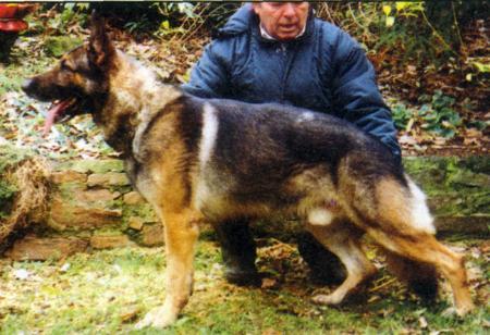 Falk vom Kassler Land