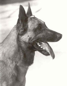 Lex du Mas des Lavandes