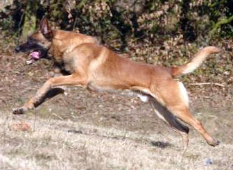 Sad de la Vallée des Suessiones